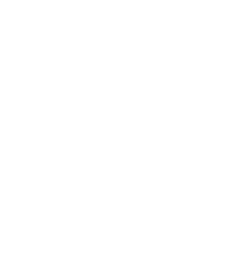 TTE-Pferd-Icon-Videocall