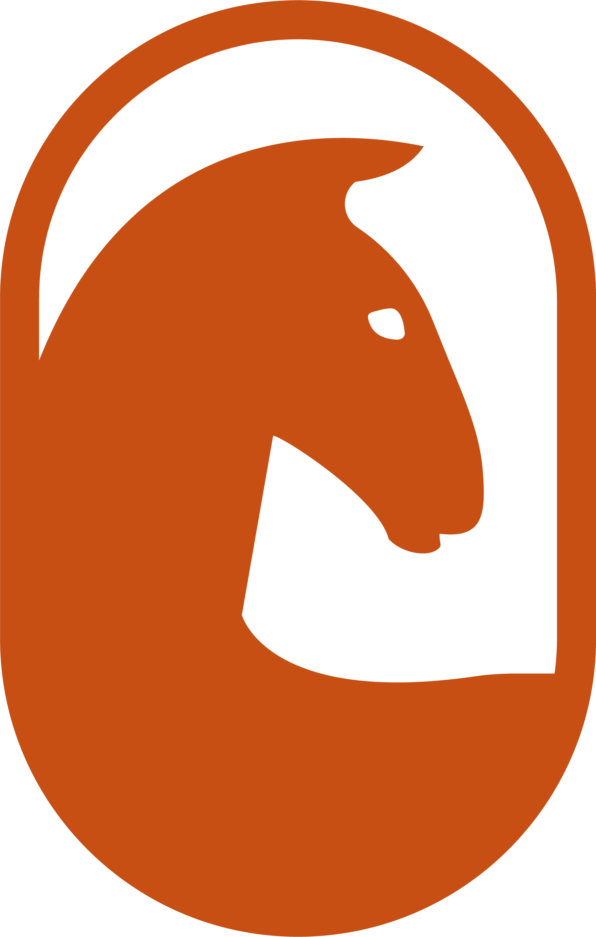 Tierärzte-Team-Erzgebirge-Pferd-Logo-Bildmarke-orange