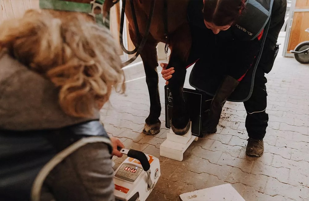 Tierarzt-Pferd-Tierärzte-Team-Erzgebirge-Zwönitz-Sachsen-Julia-Hübner-Pferdetierarzt-Pferdearzt-Pferdearztpraxis-3-min