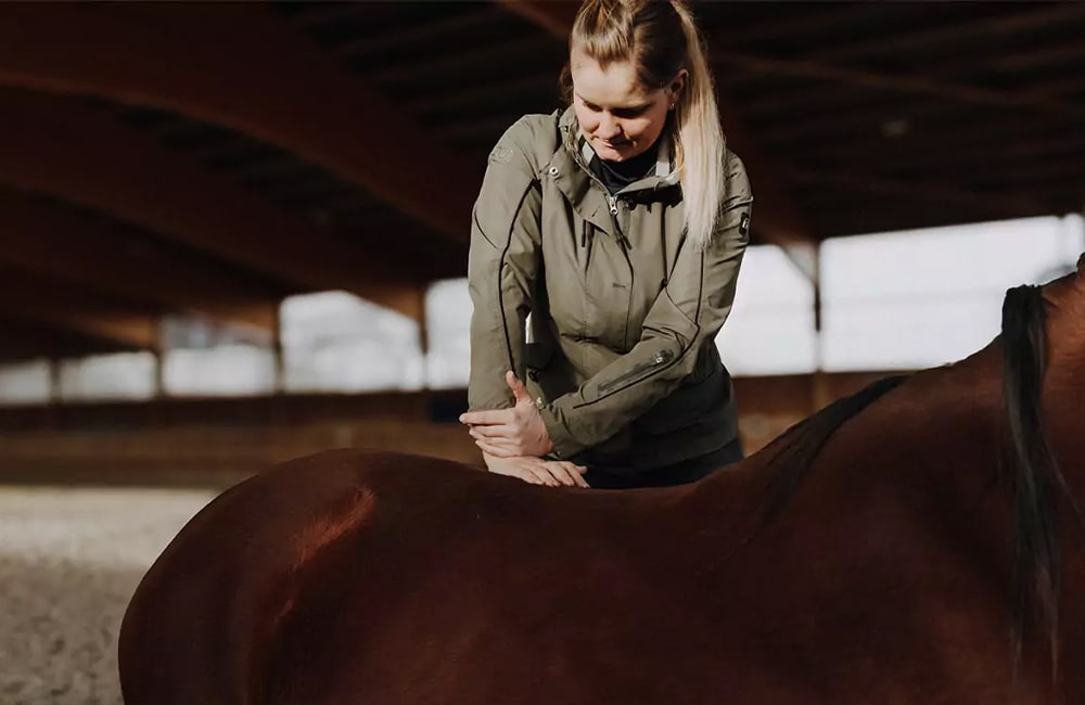 Tierarzt-Pferd-Tierärzte-Team-Erzgebirge-Zwönitz-Sachsen-Julia-Hübner-Pferdetierarzt-Pferdearzt-Pferdearztpraxis-Pferdereha-4-min