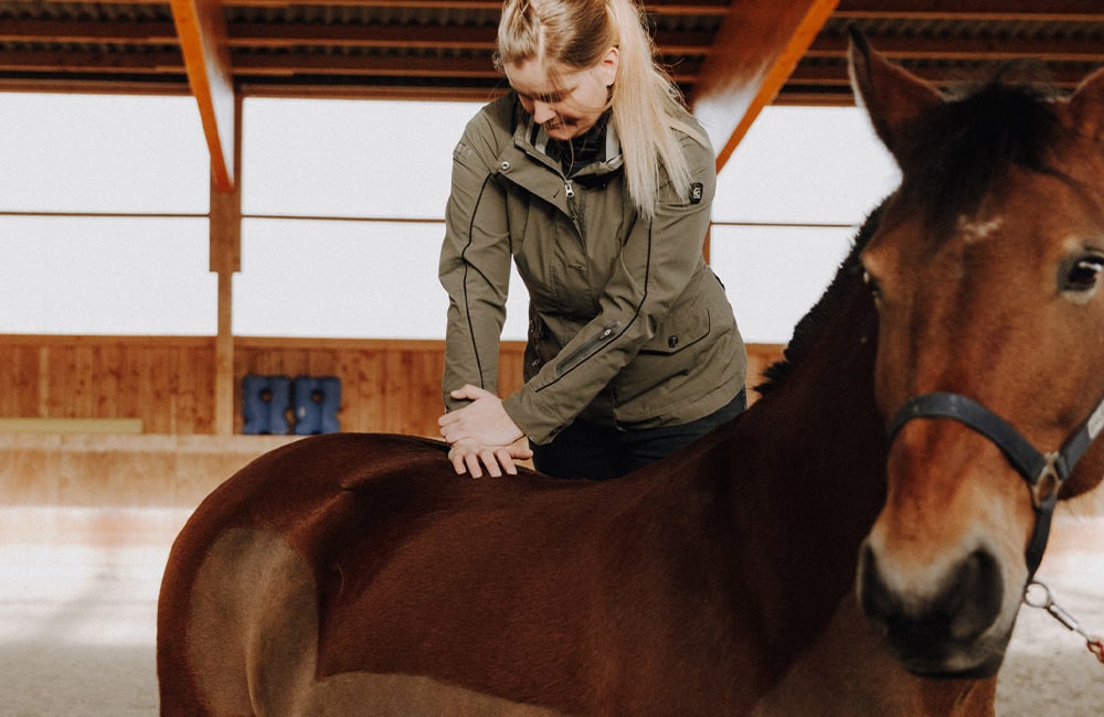 Tierarzt-Pferd-Tierärzte-Team-Erzgebirge-Zwönitz-Sachsen-Julia-Hübner-Pferdetierarzt-Pferdearzt-Pferdearztpraxis-Pferdereha-5-min