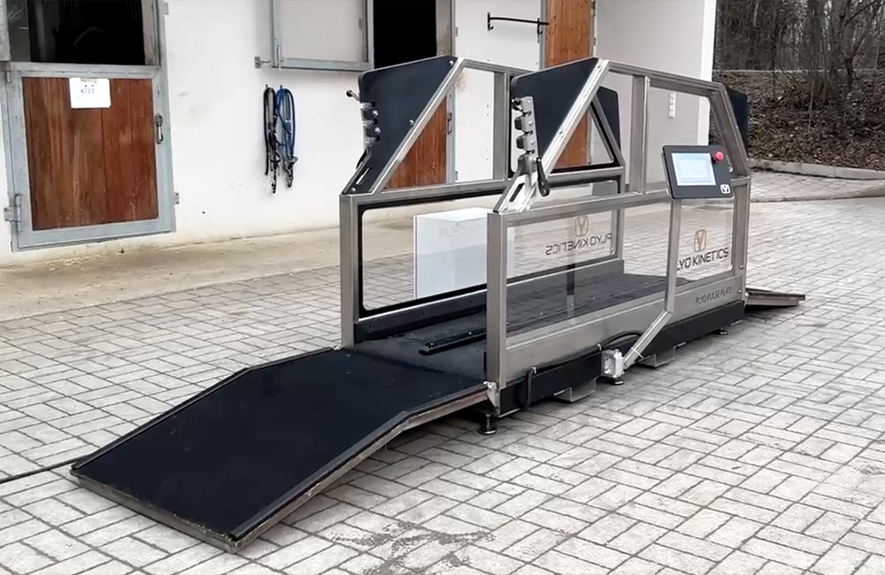 Pferdegesundheitszentrum-Mitteldeutschland-Tierärzte-Team-Erzgebirge-Zwönitz-Sachsen-Pferdetierarzt-Pferdearzt-Pferdearztpraxis-Pferdereha-5-min