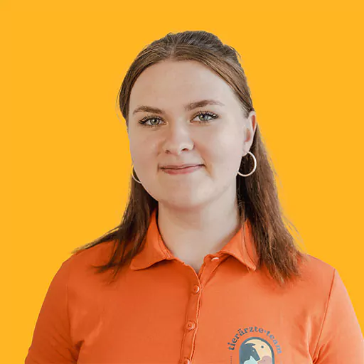 Tieraertze-Team-Erzgebirge-Pferdetierarzt-Zwoenitz-Mitarbeiterin-Sarah-Zeika