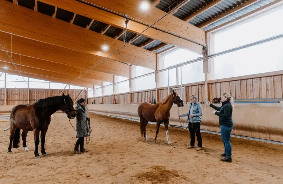 Pferdegesundheitszentrum-Mitteldeutschland-Tieraerzte-Team-Erzgebirge-Zwoenitz-Sachsen-Pferdetierarzt-Pferdearzt-Pferdearztpraxis-Pferdereha-Pferdephysiotherapie-1