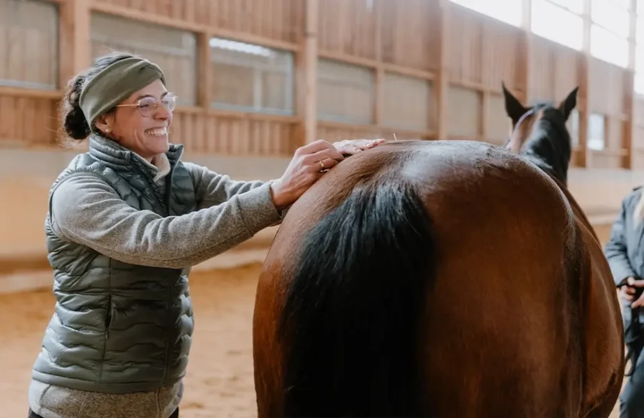 Pferdegesundheitszentrum-Mitteldeutschland-Tieraerzte-Team-Erzgebirge-Zwoenitz-Sachsen-Pferdetierarzt-Pferdearzt-Pferdearztpraxis-Pferdereha-Pferdephysiotherapie-11