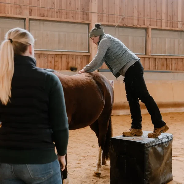 Pferdegesundheitszentrum-Mitteldeutschland-Tieraerzte-Team-Erzgebirge-Zwoenitz-Sachsen-Pferdetierarzt-Pferdearzt-Pferdearztpraxis-Pferdereha-Pferdephysiotherapie-16