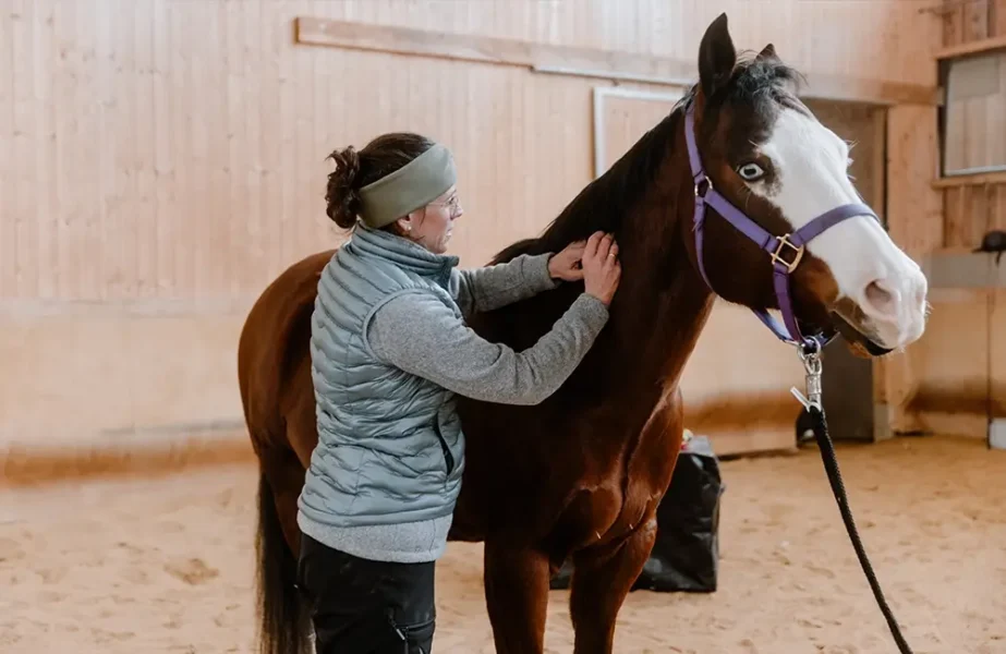 Pferdegesundheitszentrum-Mitteldeutschland-Tieraerzte-Team-Erzgebirge-Zwoenitz-Sachsen-Pferdetierarzt-Pferdearzt-Pferdearztpraxis-Pferdereha-Pferdephysiotherapie-5