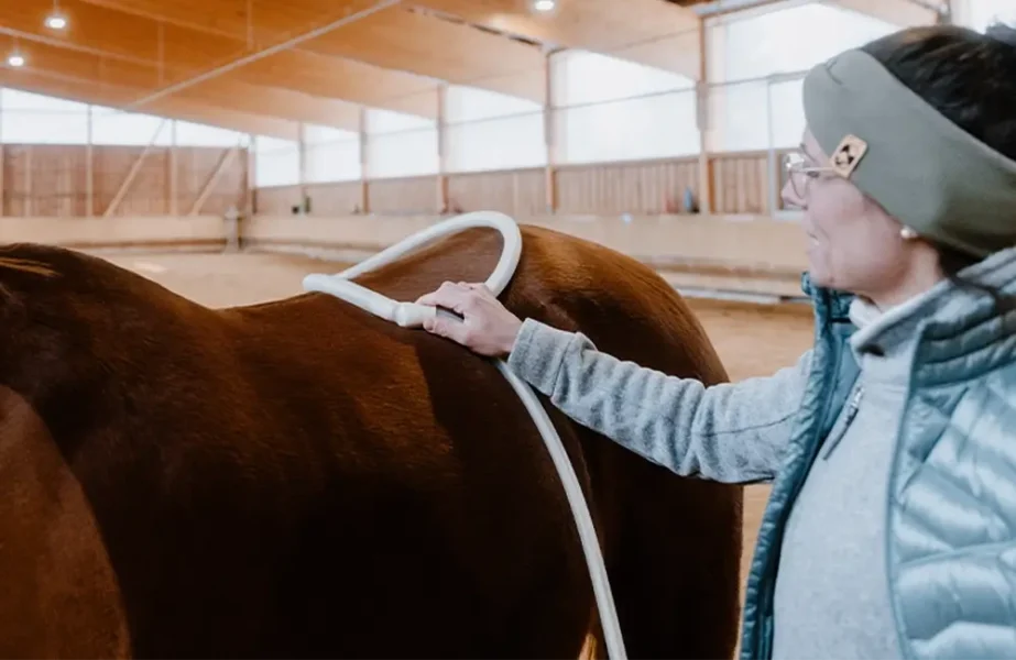 Pferdegesundheitszentrum-Mitteldeutschland-Tieraerzte-Team-Erzgebirge-Zwoenitz-Sachsen-Pferdetierarzt-Pferdearzt-Pferdearztpraxis-Pferdereha-Pferdephysiotherapie-6
