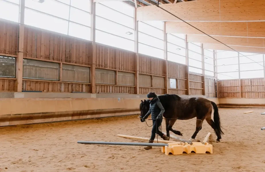 Pferdegesundheitszentrum-Mitteldeutschland-Tieraerzte-Team-Erzgebirge-Zwoenitz-Sachsen-Pferdetierarzt-Pferdearzt-Pferdearztpraxis-Pferdereha-Pferdephysiotherapie-9