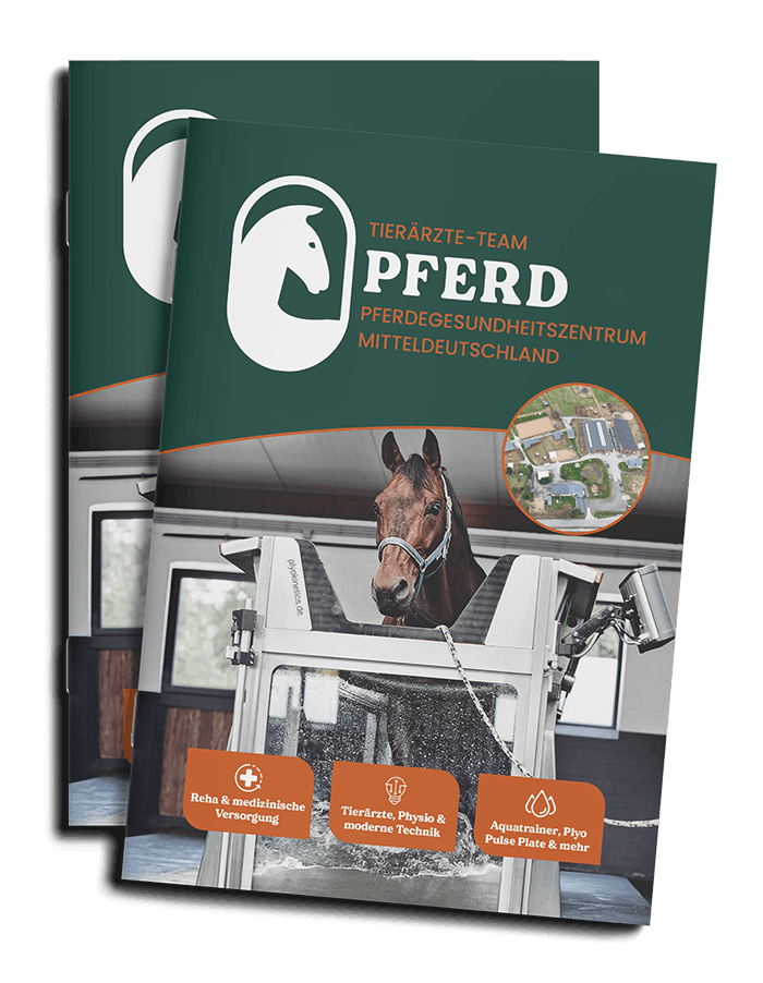 Pferdegesundheitszentrum-Mitteldeutschland-Tieraerzte-Team-Erzgebirge-Zwoenitz-Sachsen-Pferdetierarzt-Pferdearzt-Pferdearztpraxis-Pferdereha-Pferdephysiotherapie-Mockup-Broschüre
