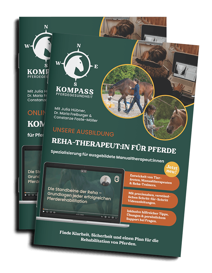 Pferdegesundheitszentrum-Mitteldeutschland-Tieraerzte-Team-Erzgebirge-Zwoenitz-Sachsen-Pferdetierarzt-Pferdearzt-Pferdearztpraxis-Pferdereha-Pferdephysiotherapie-Mockup-Flyer